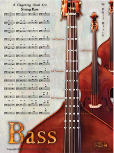 Santorella String Bass Wall Chart