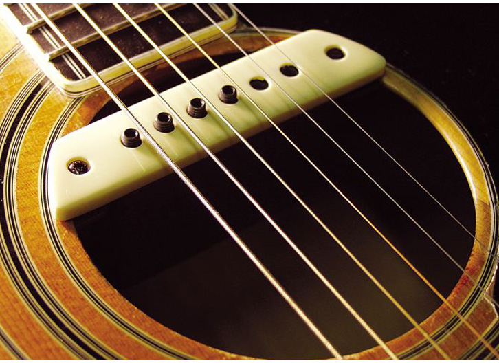 LR Baggs M1 Passive Guitar Soundhole Pickup