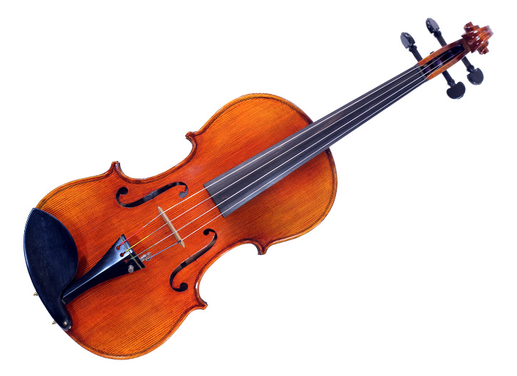 Dimitar Georgiev V1 Master Viola - 15.5"