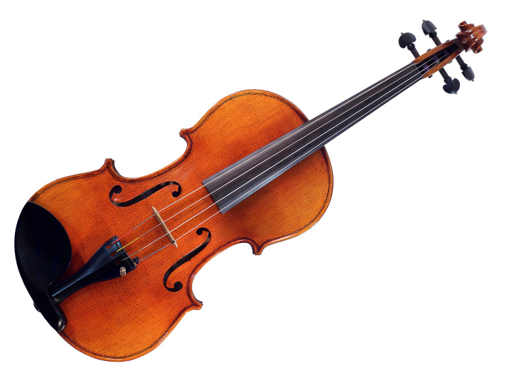 Dimitar Georgiev V2 Orchestra Viola - 15.5"