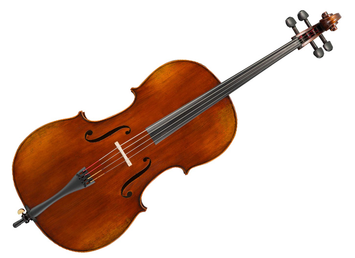 Ivan Dunov 401 Cello Outfit - 4/4, Stradivari