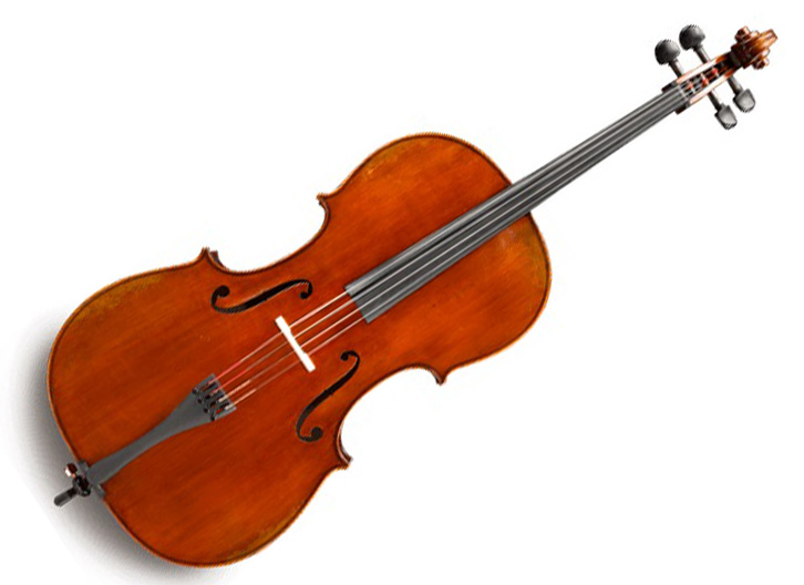 Albert Nebel 601 Cello Outfit - 4/4